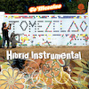 Hibrid Instrumental